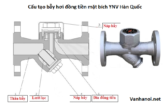 Cấu tạo bẫy hơi đồng tiền mặt bích YNV