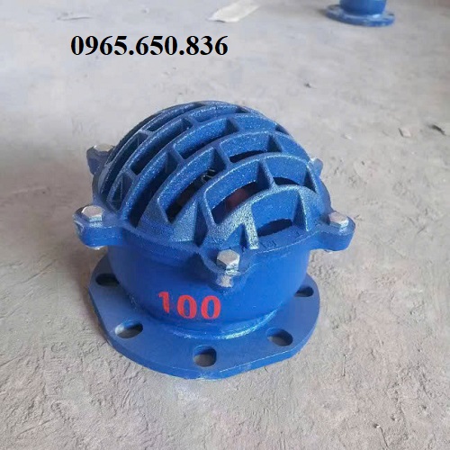 Rọ bơm gang Trung Quốc