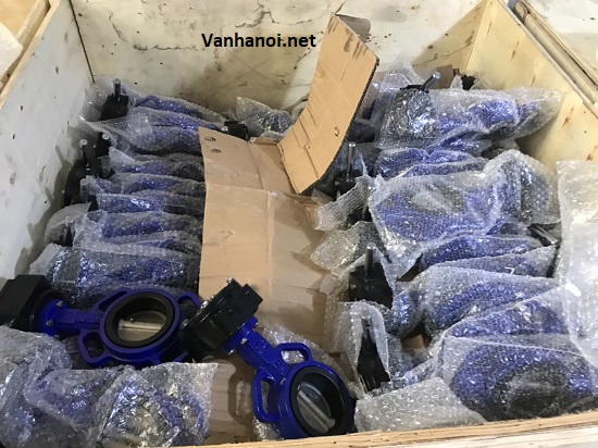 Van bướm Trung Quốc - thuận phát