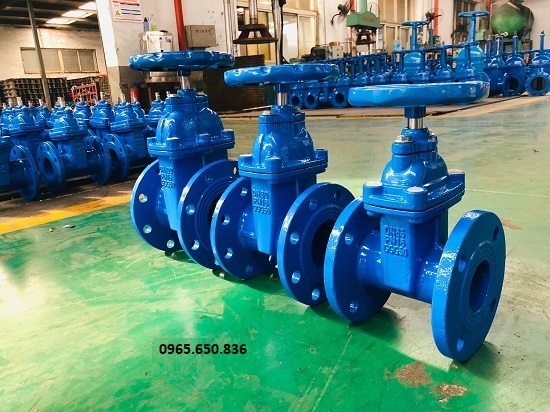 Gate Valve