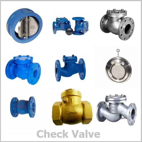 Check valve