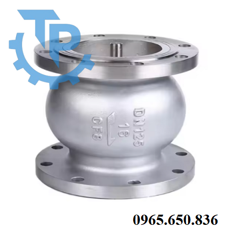 Van một chiều inox lò xo