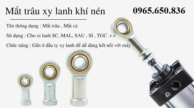 Mắt c&aacute; xy lanh kh&iacute; n&eacute;n