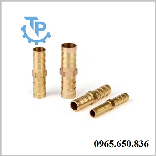 Nối 2 đầu đuôi chuột đồng Minh Hòa