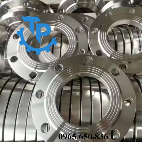 Mặt bích vi sinh inox 316