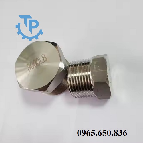 Nút bịt inox vi sinh nối ren