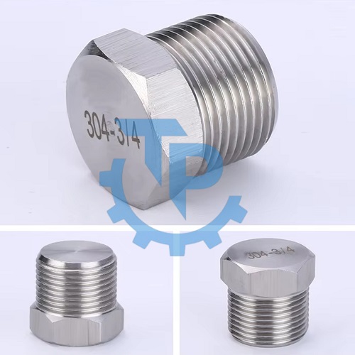 Nút bịt vi sinh inox 304