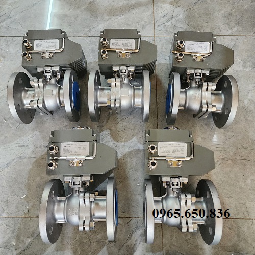 Van bi điện inox 304