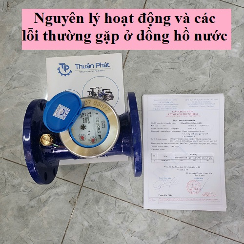Nguyên lý hoạt động và các lỗi thường gặp ở đồng hồ nước